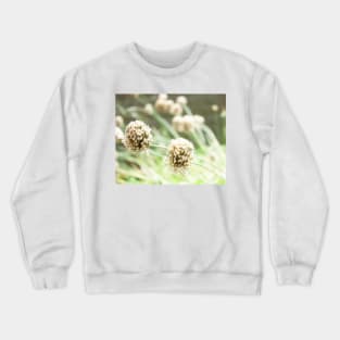 Flower seed balls unique plant Crewneck Sweatshirt